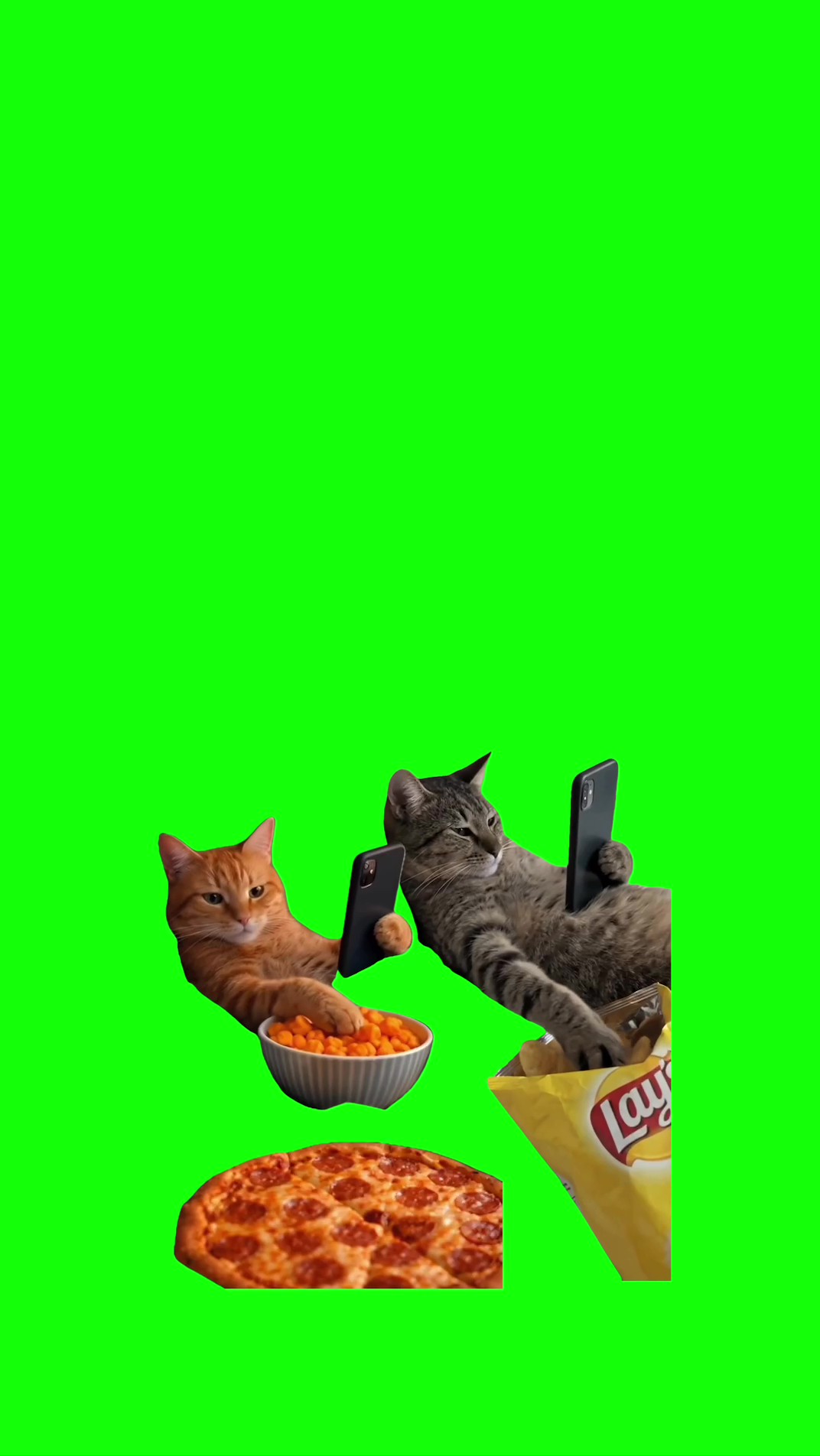 2 cats sitting eating food