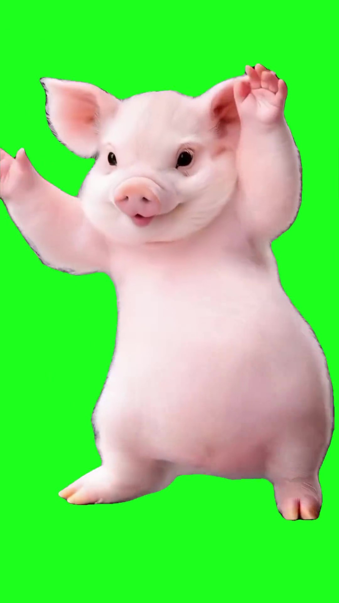AI Pig dancing