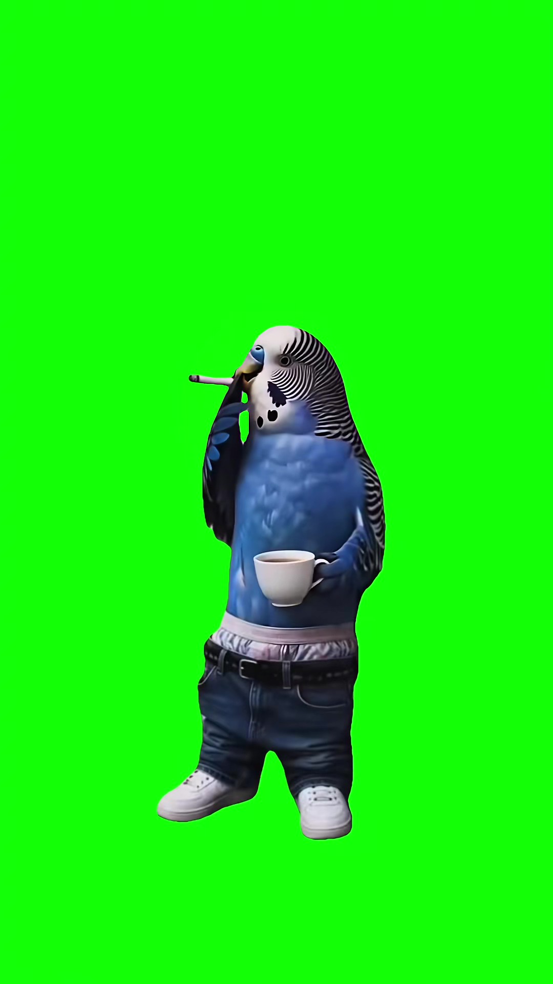 Act Normal green screen
