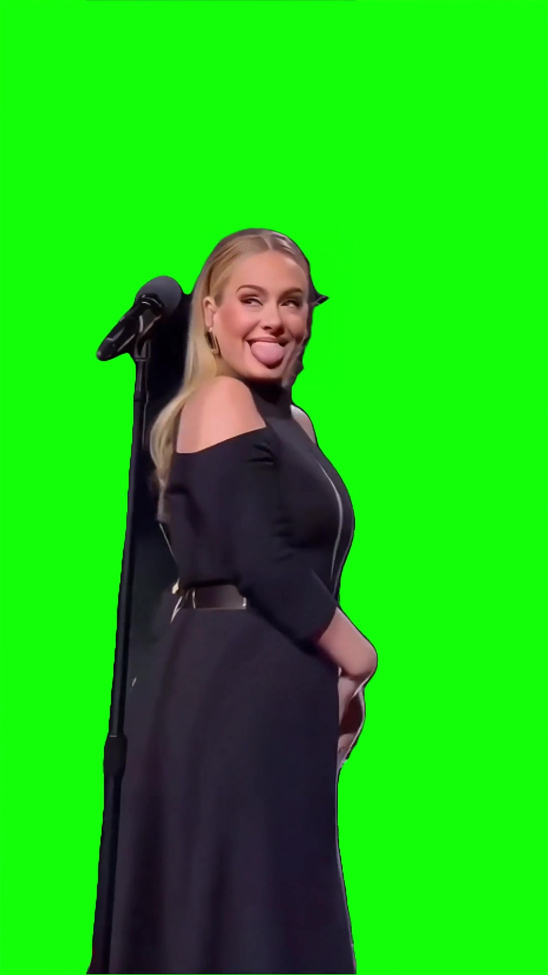 Adele sassy rumor has it green screen
