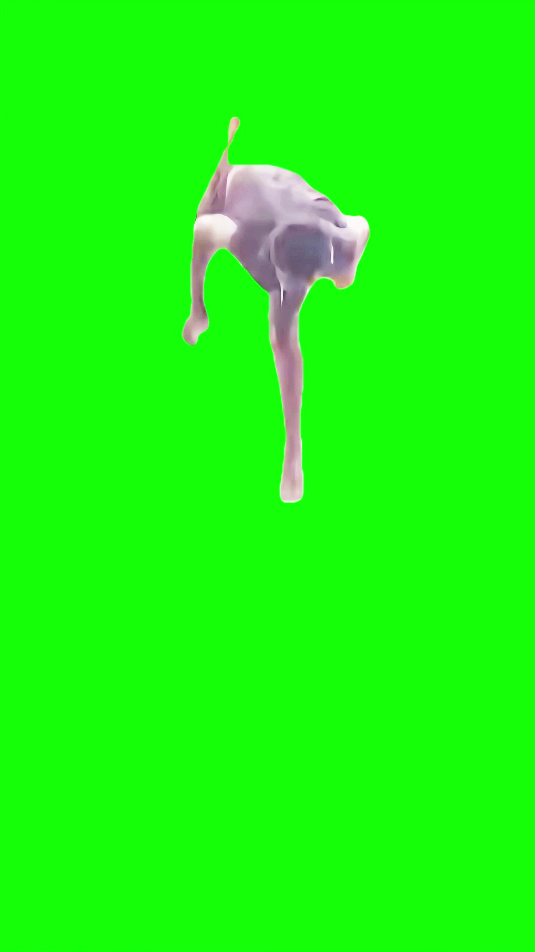 African Guy Crazy Jump green screen