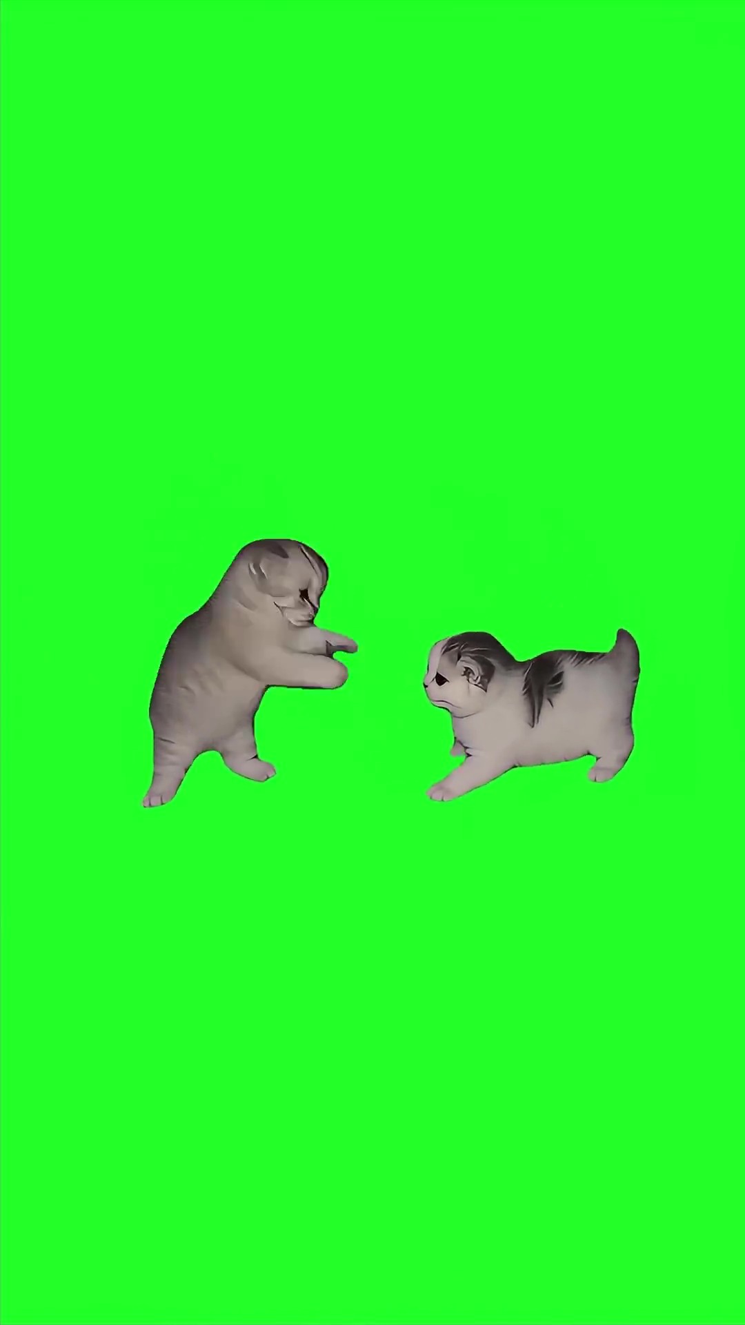Ahh kittens green screen