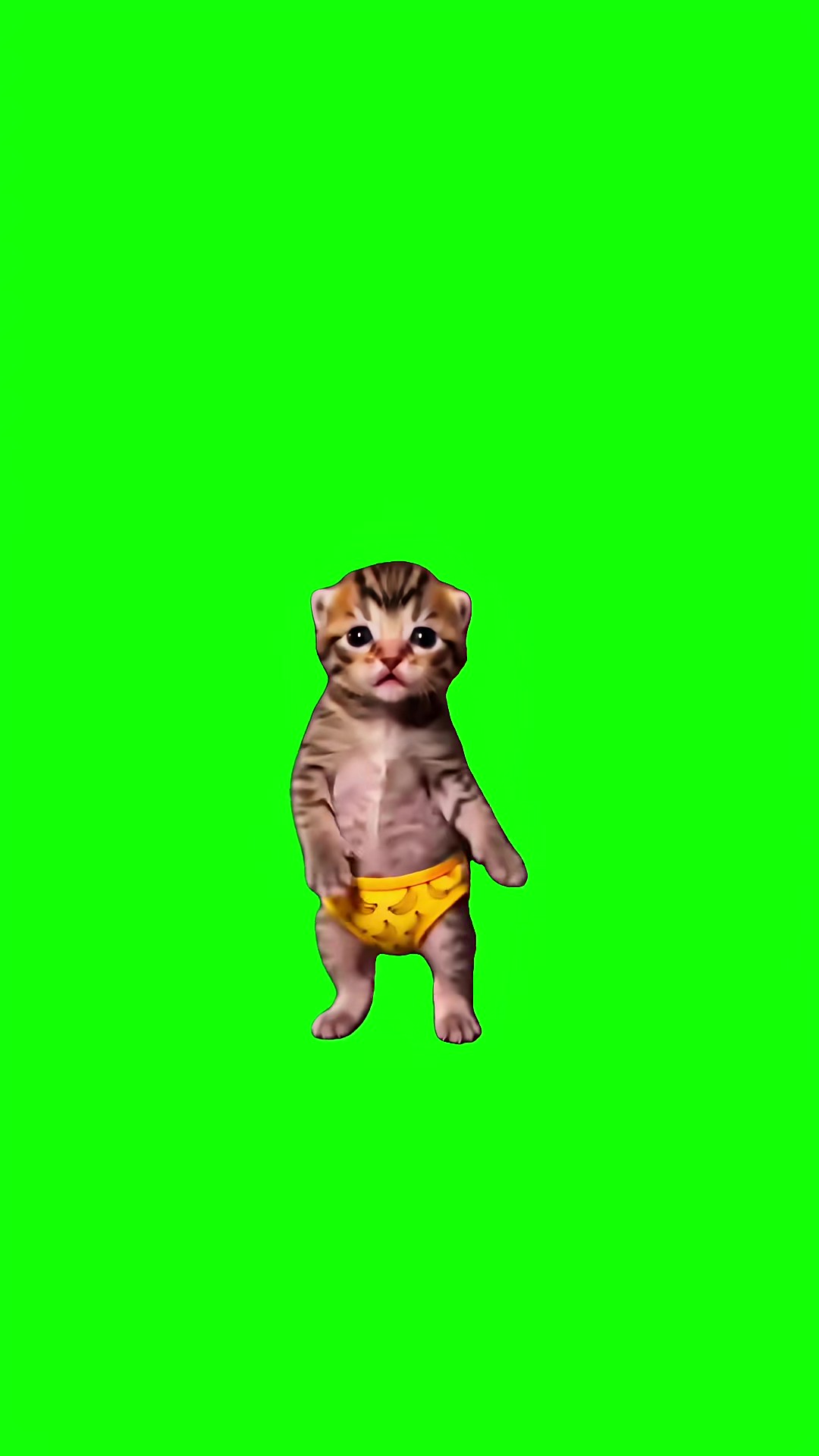 Alecrim Dourado green screen