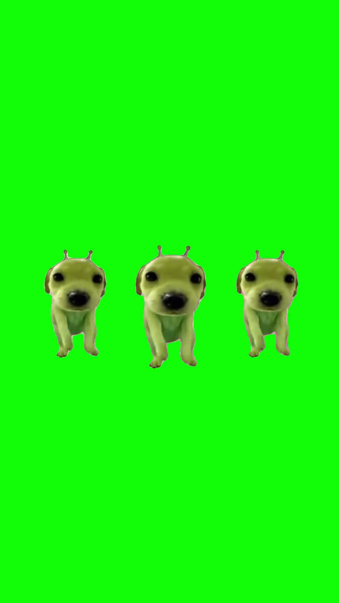 Alien puppies dance