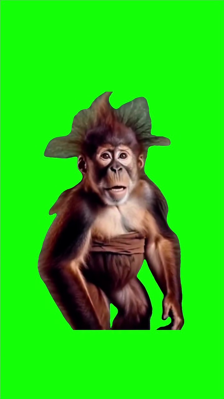 Apex Dance green screen