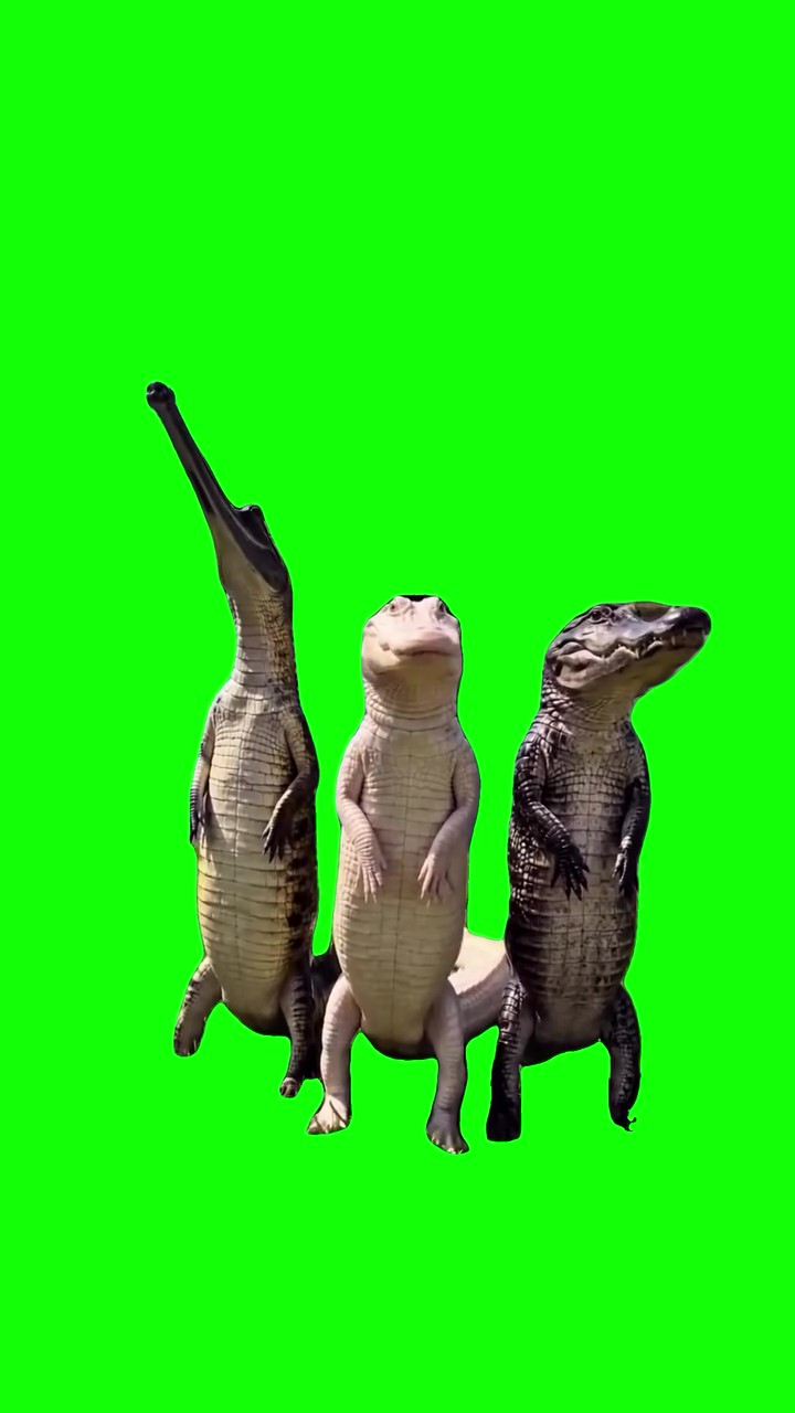 Arlekirno Dancing green screen