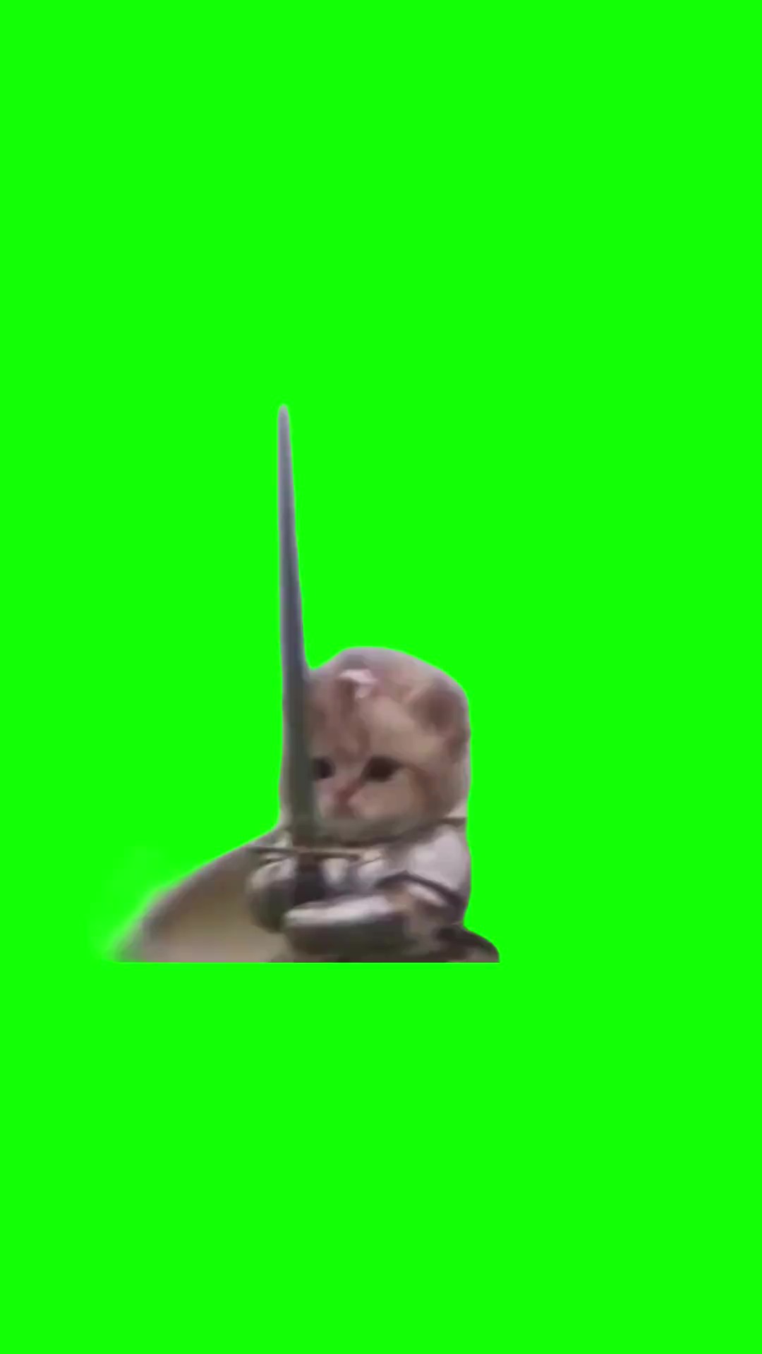 Armor kitten knight green screen