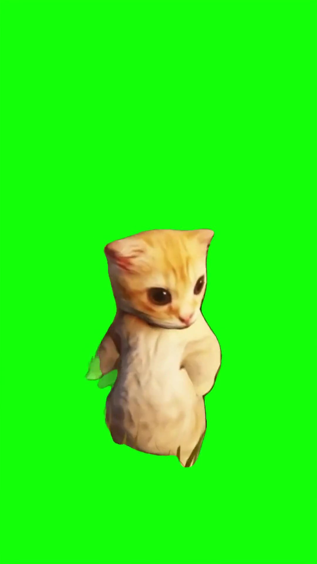 Ay mi gatito mia mia green screen