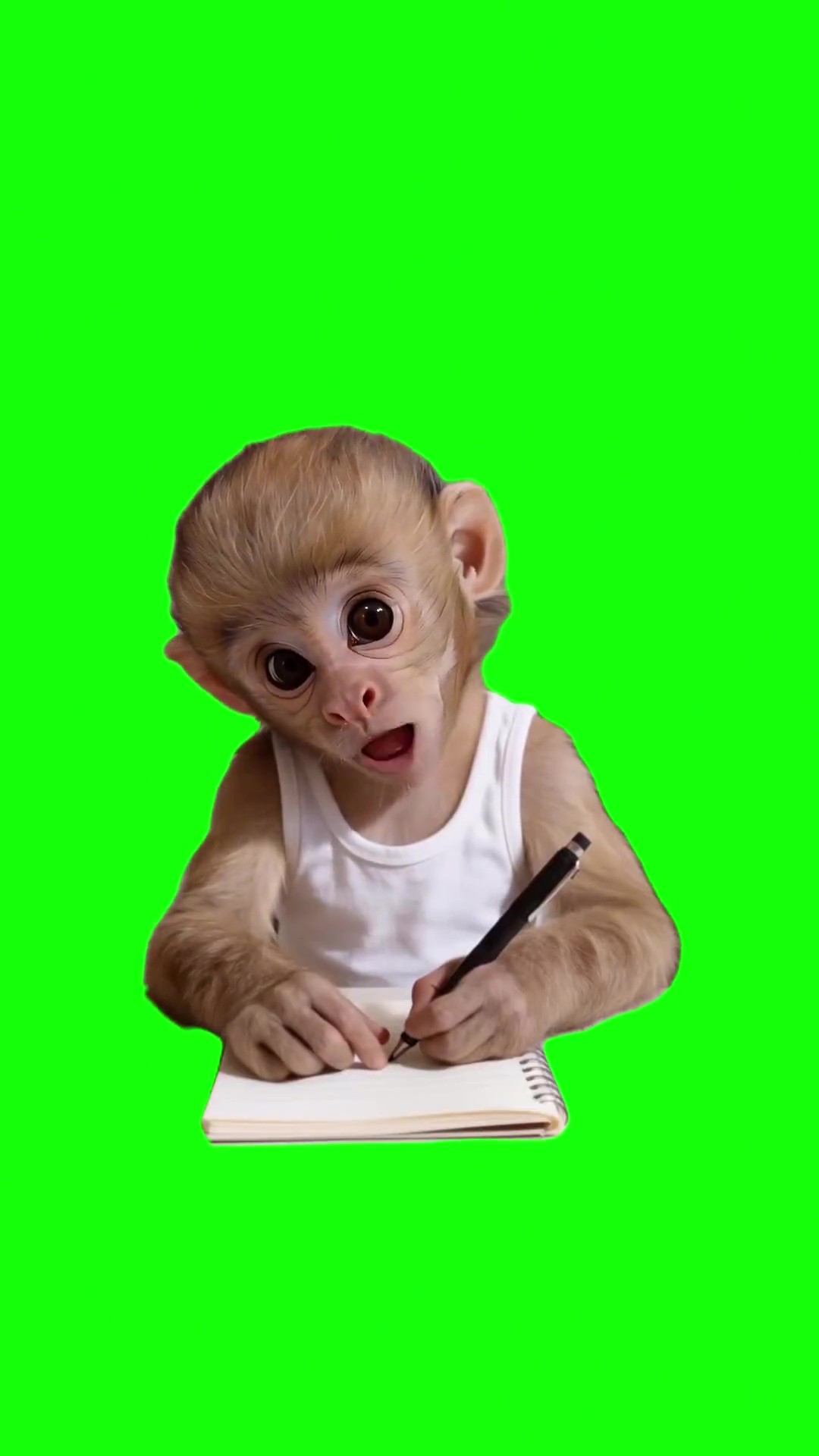 Baby Monkey Says Dollbaeyou green screen