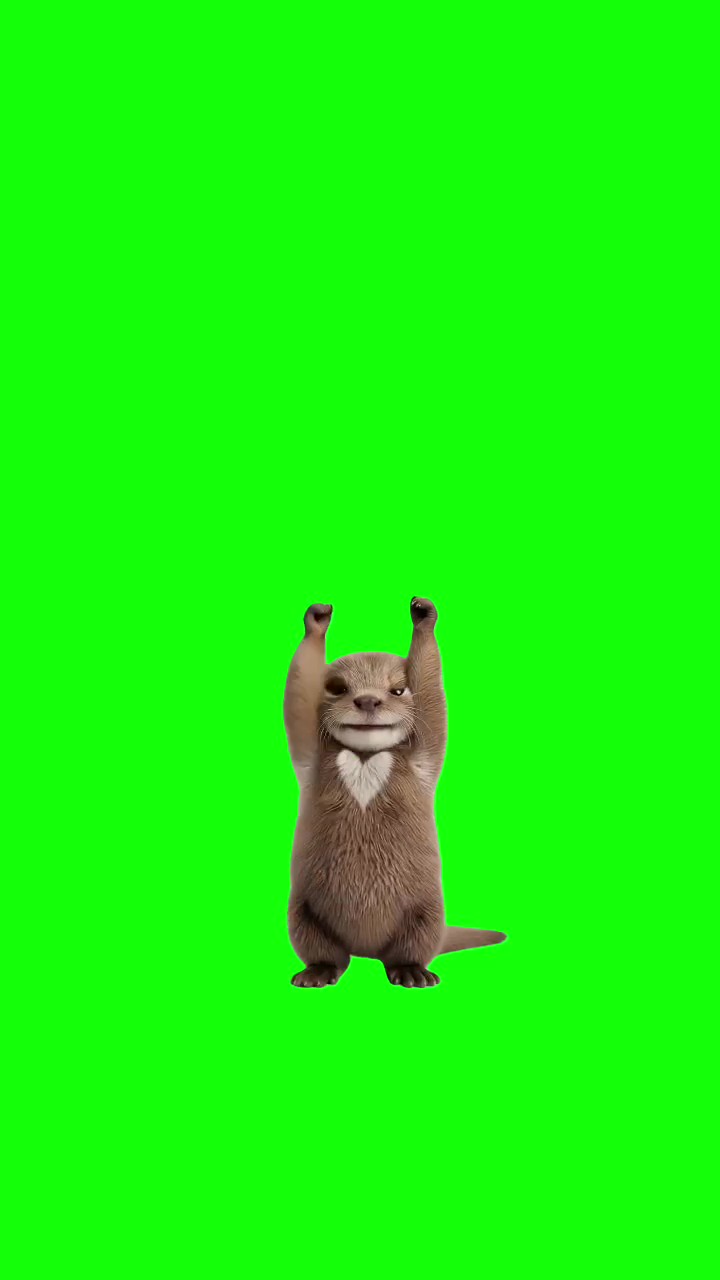 Beaver she  will  call me baby boo green screen