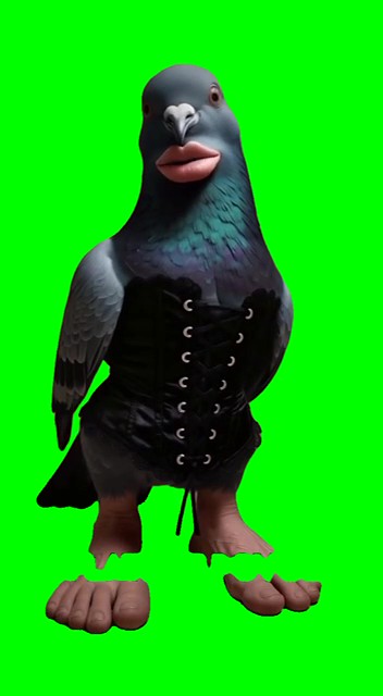 Birdie whispering bare minimum
