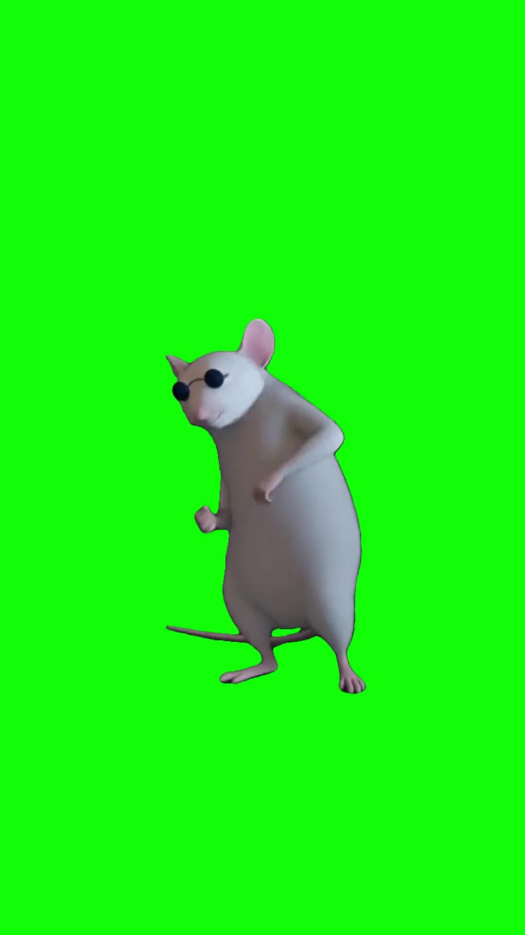 Blind rat dancing