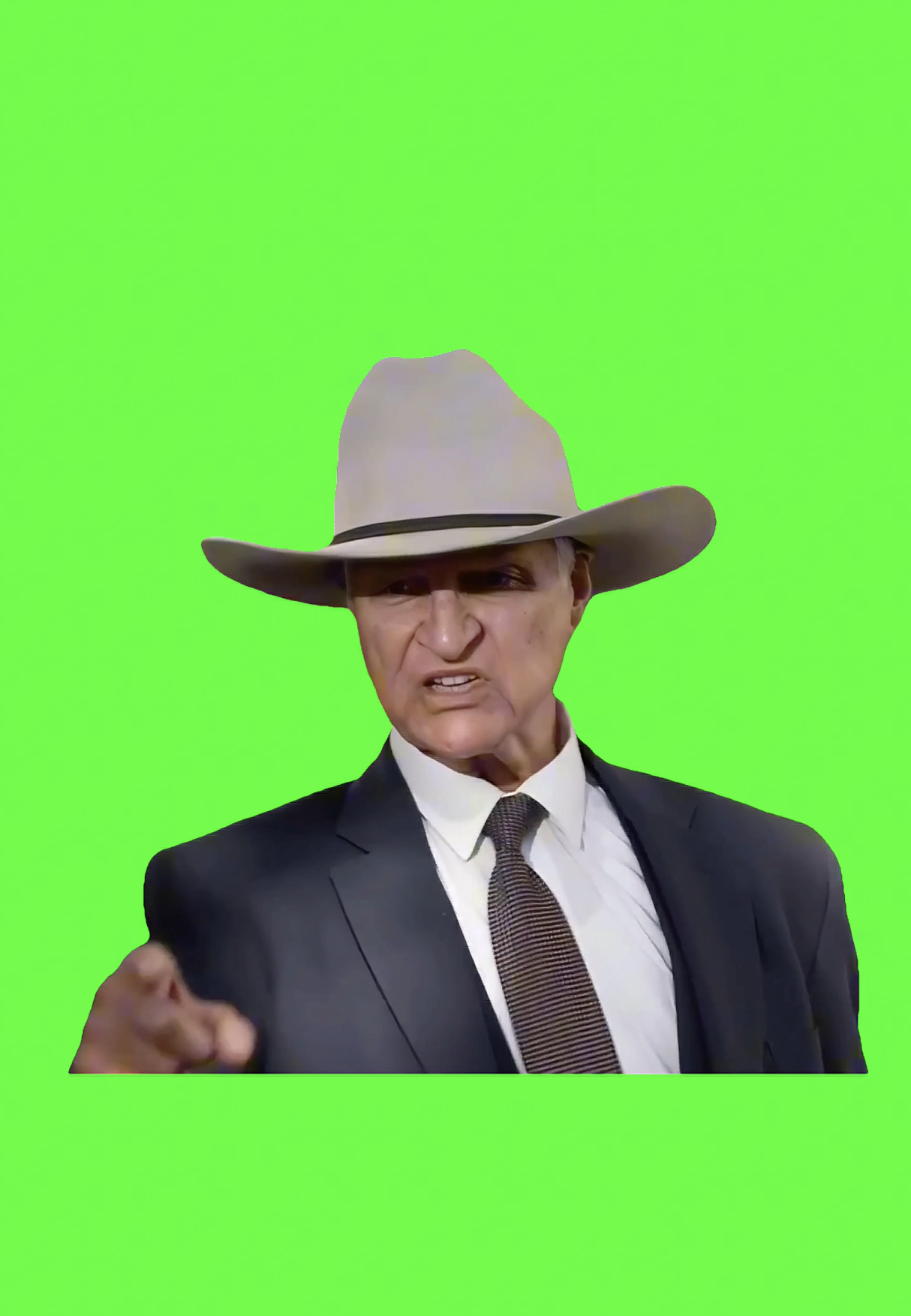 Bob Katter Dont Say That green screen