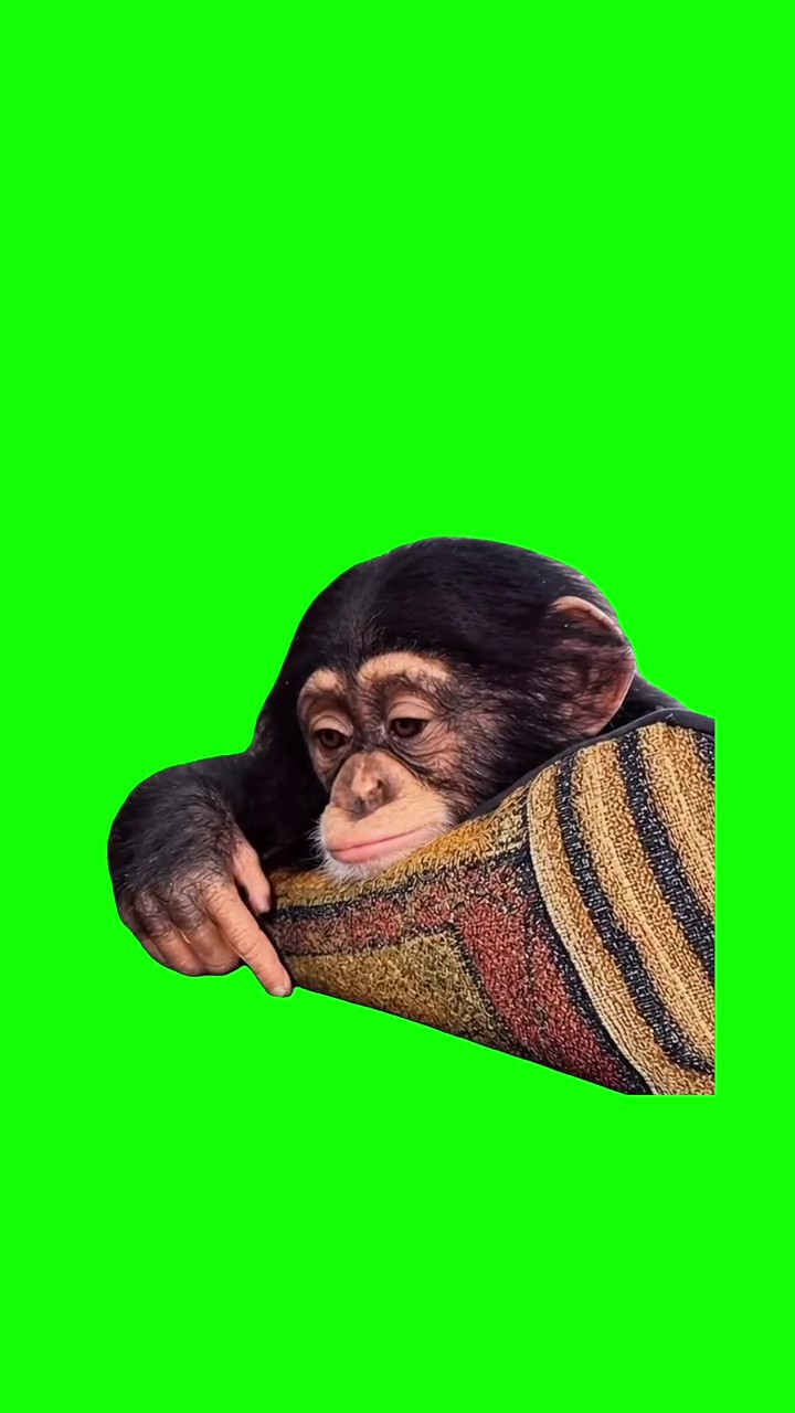 Boring Day green screen