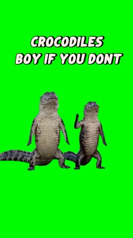 Boy If You Dont Get Crocodiles Dancing green screen