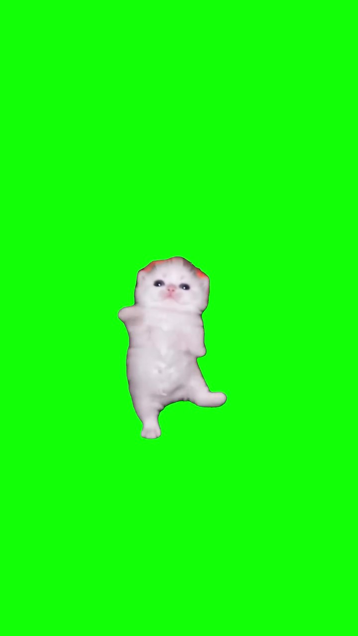 Candy Shop Kittens green screen