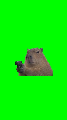 Capybara Pointing green screen