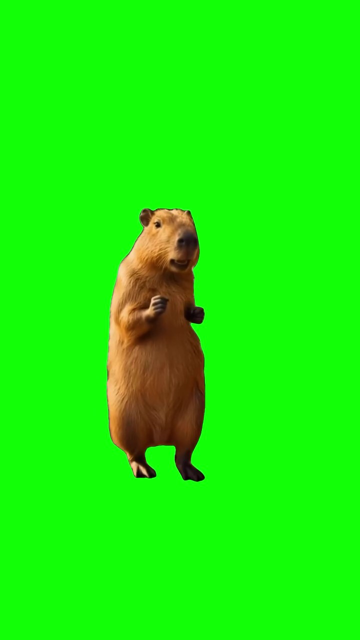 Capybara Vibing