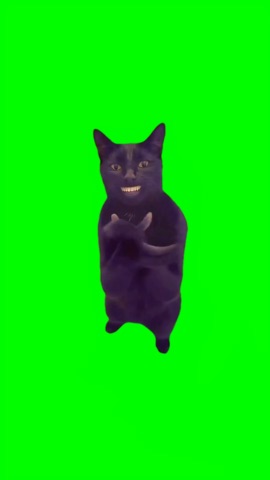 Cat Claps And Handshake green screen