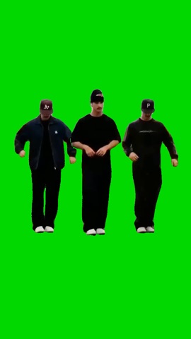 Cat Funk Dance green screen