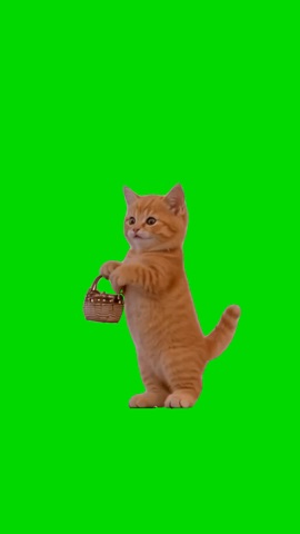 Cat Going Shopping green screen