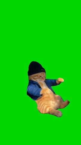 Cat In Black Hat Jamming Out green screen