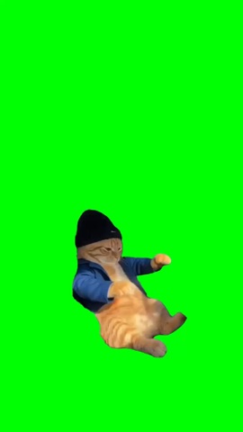 Cat Jamming Out green screen