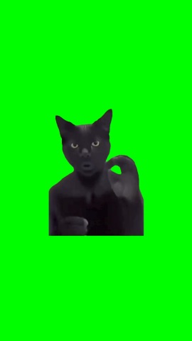 Cat Singing Oooo green screen