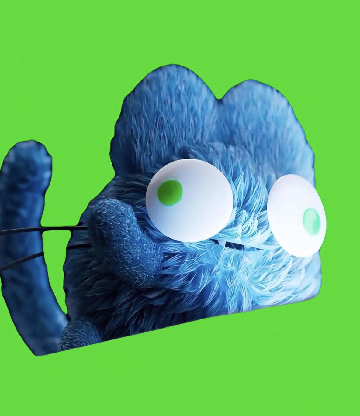 Cat Spamming CAT EMOJI green screen