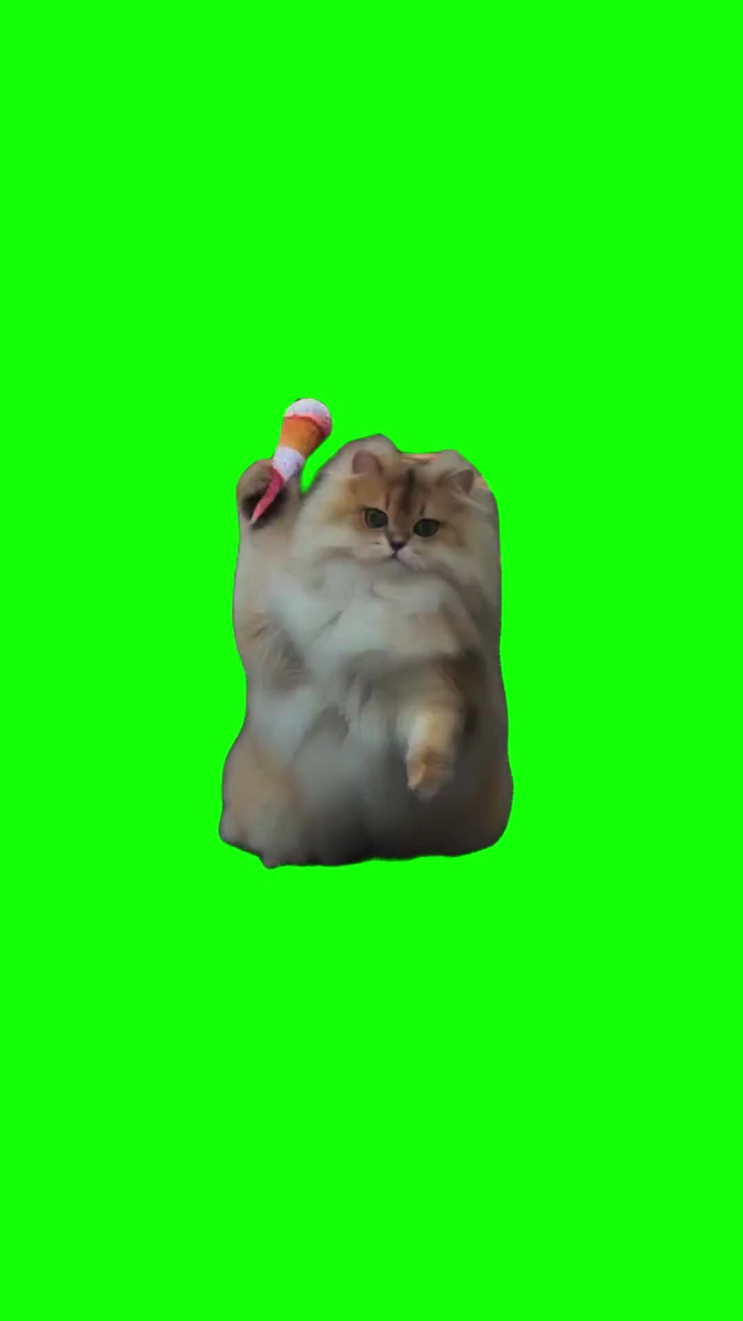 Cat Throws Ice Cream at a Car green screen