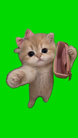 Cat With A Wallet green screen