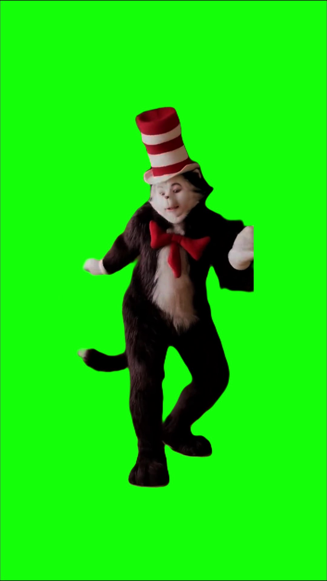 Cat in the hat green screen