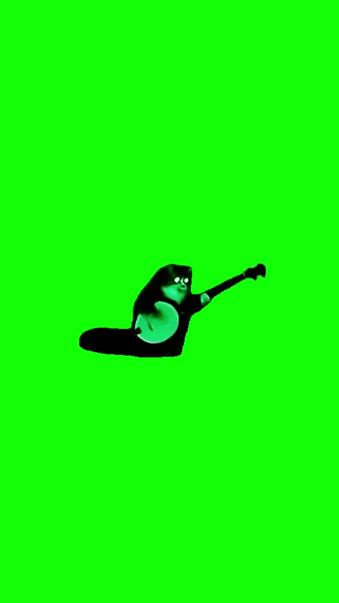 Cat plays banjo green screen