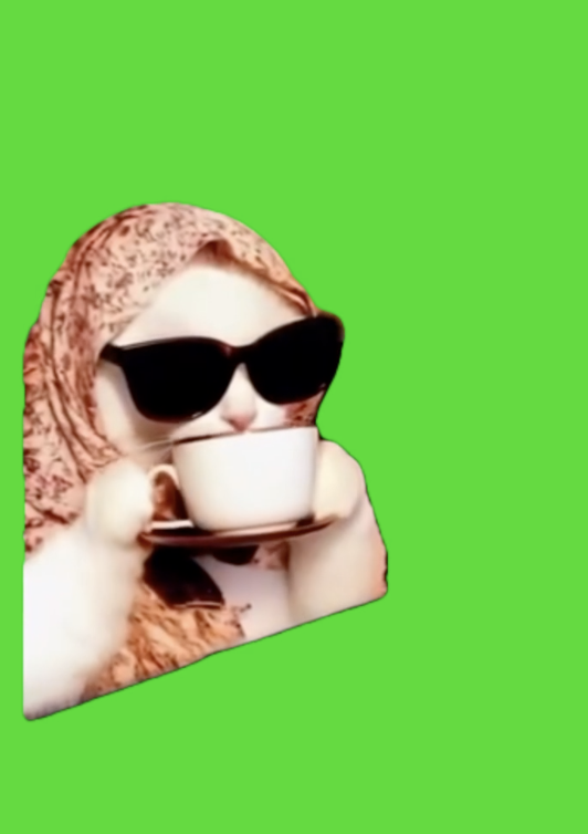 Cat sipping tea green screen