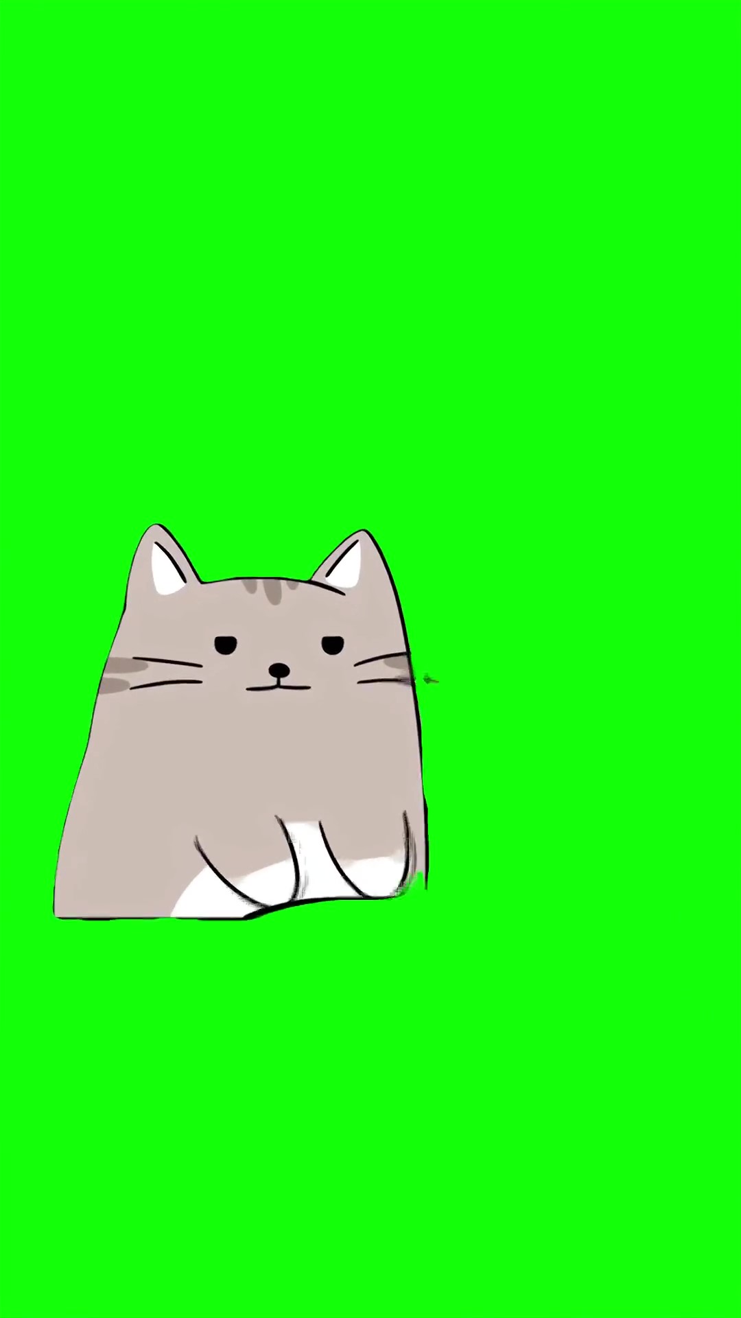 Cat typing fast on keyboard green screen