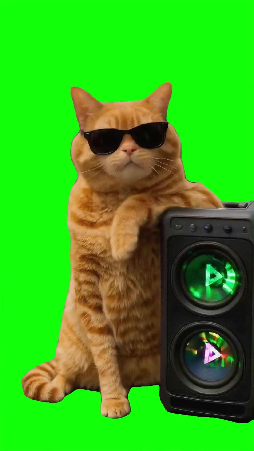 Cat vibing green screen