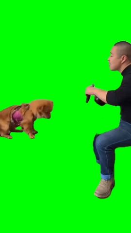 Chinese Guy Singing With A Dog green screen