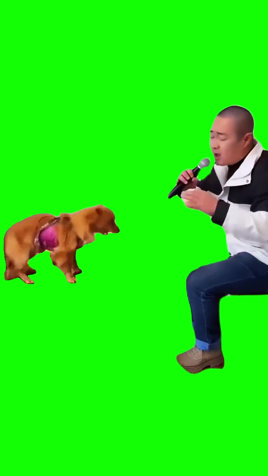 Chinese man and dog singing green screen