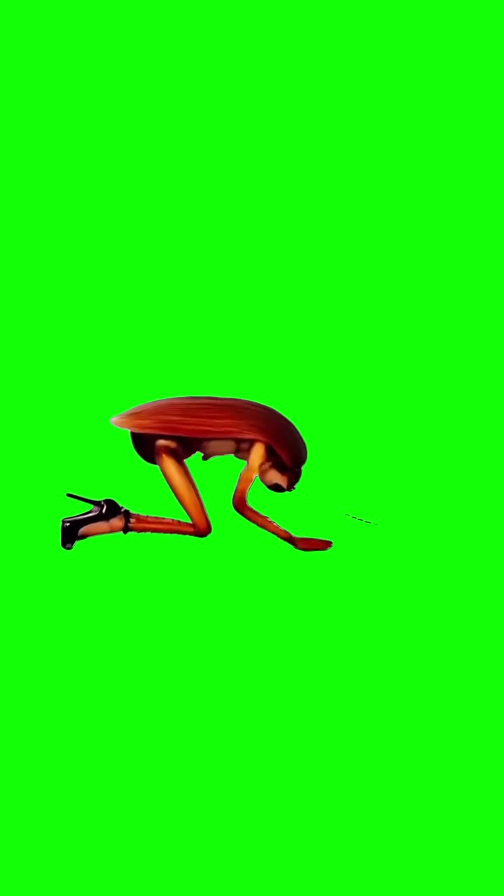 Cockroach Dancing green screen