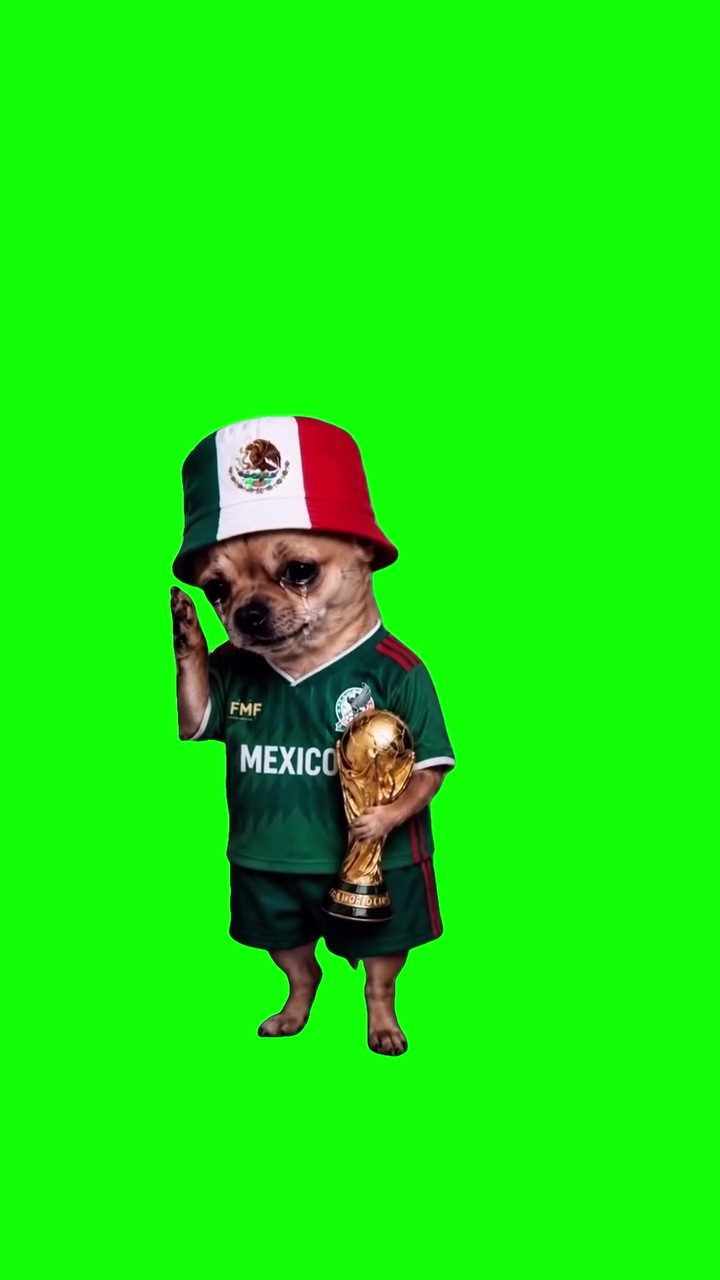 Crying Perrita green screen
