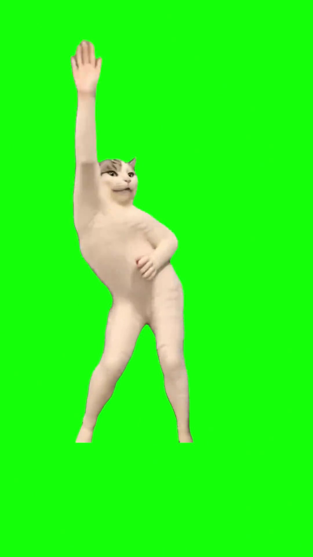 Dancing Cat Ничего Себе green screen