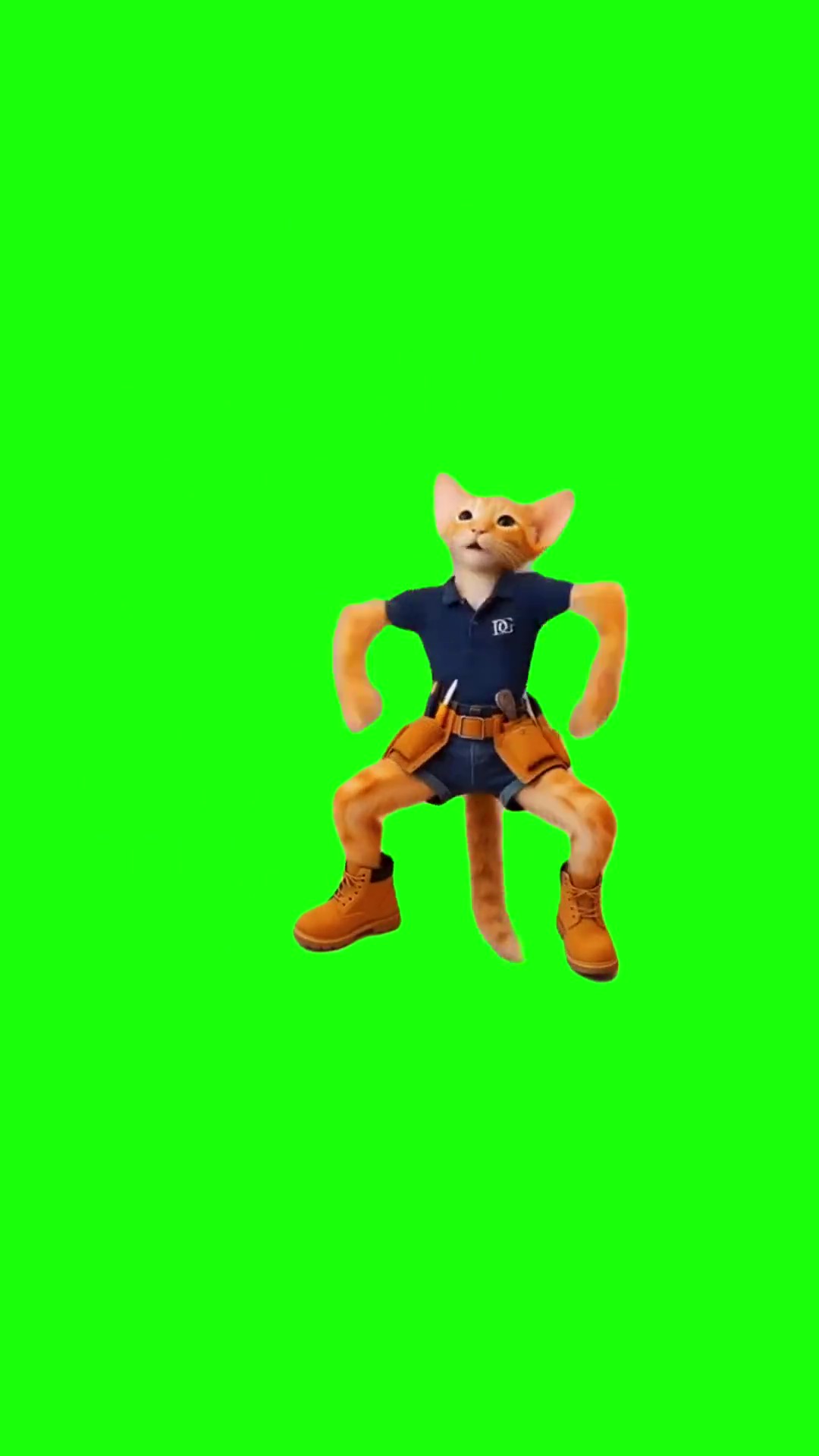 Dancing Cat Builder Cha Cha Slide green screen