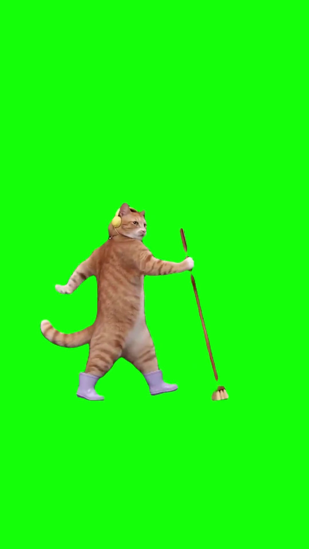 Dancing Cat Cleans Up to Billie Jean green screen