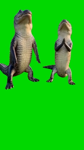Dancing Crocodiles green screen