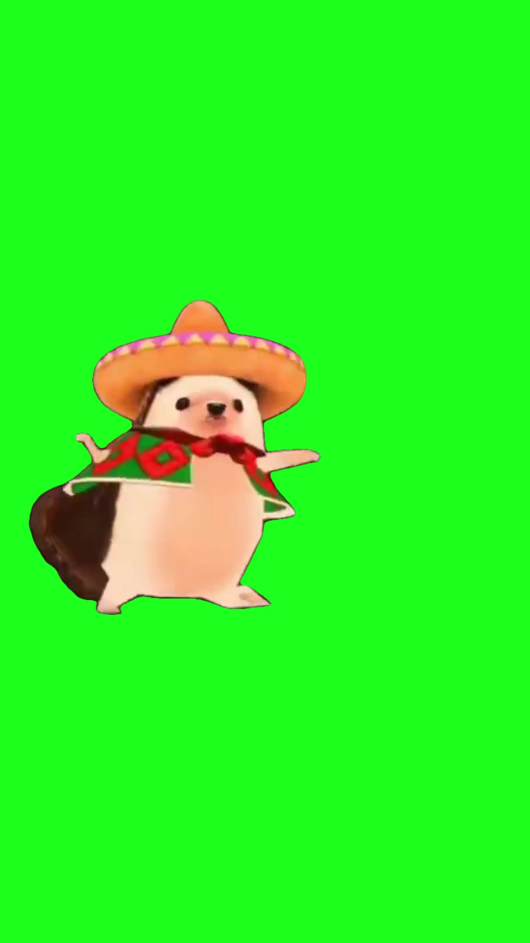 Dancing Mexican Hamster green screen