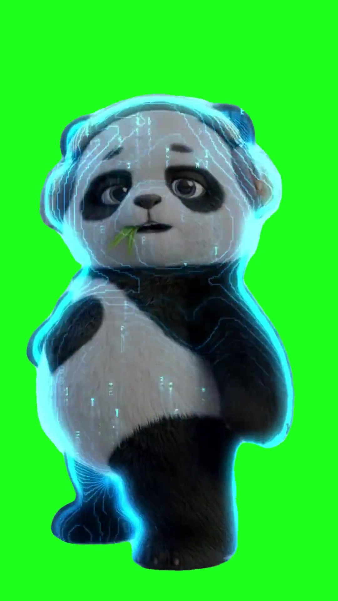 Dancing Panda green screen