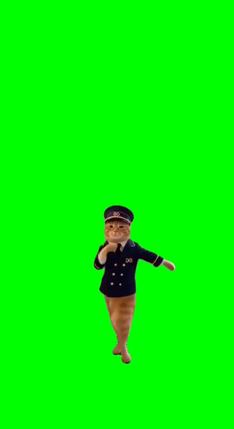 Dancing Railway Cat green screen