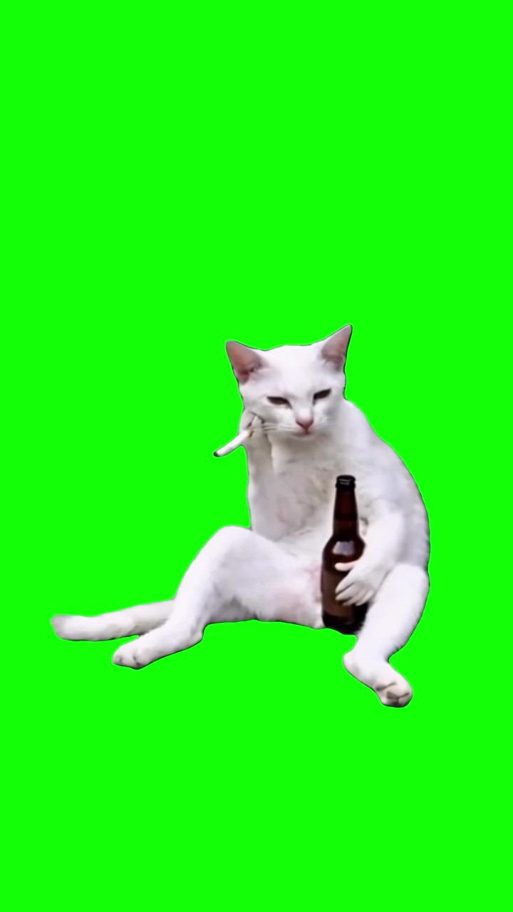 Depressed Cat  green screen