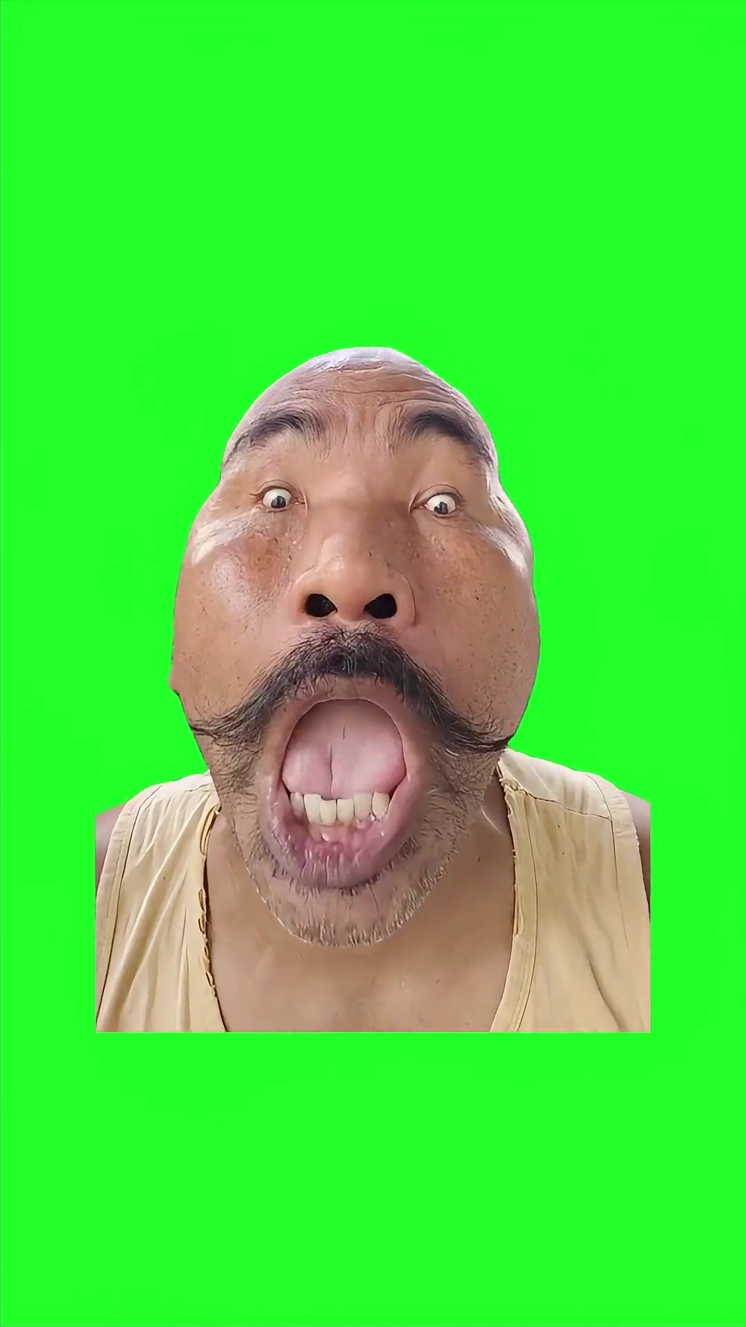 Digidi Digidi Hey V2 green screen