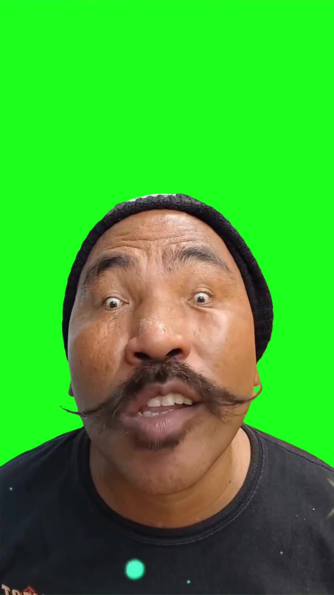 Digidi hey green screen